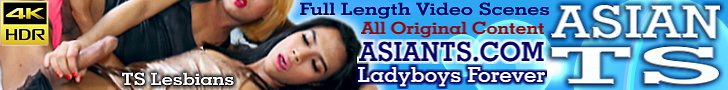 Huge Collection of Sexy Asian Transsexuals!!